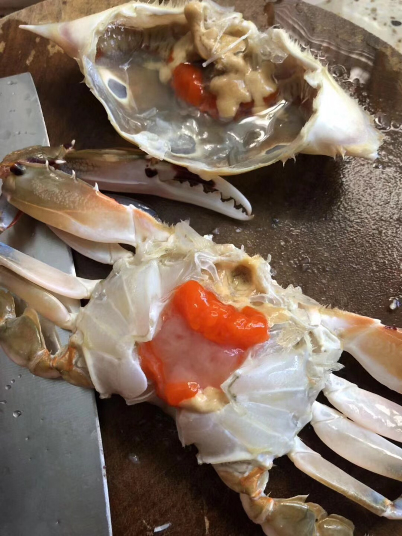 特挑带膏三点蟹母蟹梭子蟹三目蟹3-4条