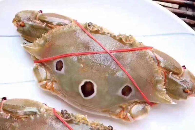特挑带膏三点蟹母蟹梭子蟹三目蟹3-4条