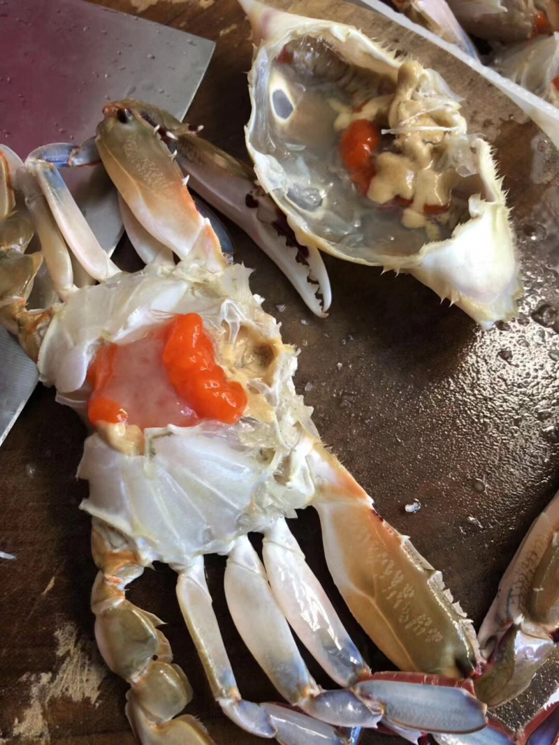 特挑带膏三点蟹母蟹梭子蟹三目蟹3-4条