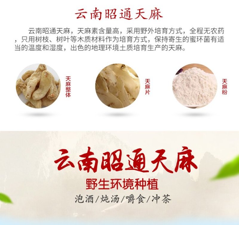 限时抢购云南昭通天麻批发只卖好货诚信为本。一斤也是批发价