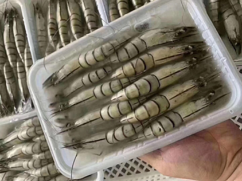 生冻黑虎虾250g/盒8-10头草虾