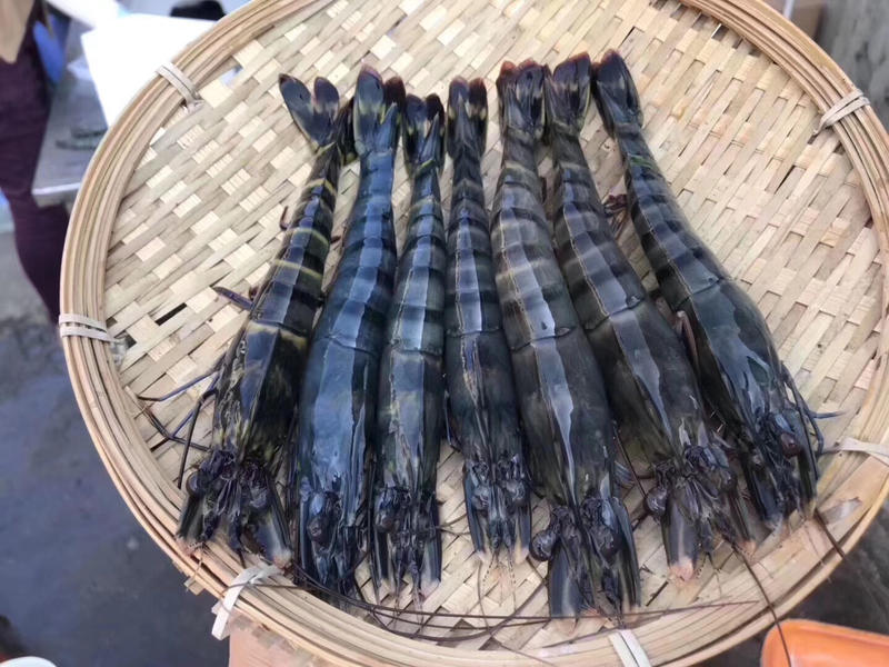 生冻黑虎虾250g/盒8-10头草虾