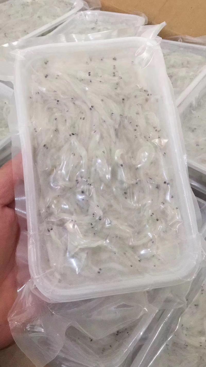 新鲜小银鱼长寿鱼200g/盒海鲜辅食