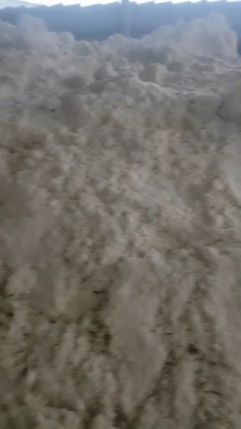 豆渣