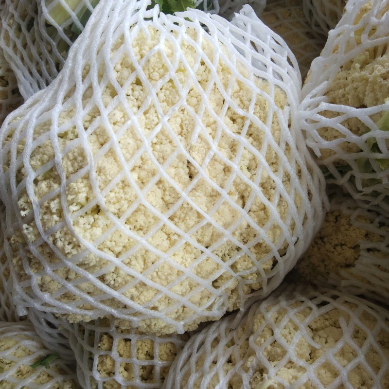 冷库储存温州有机花出售质量好！价格低！