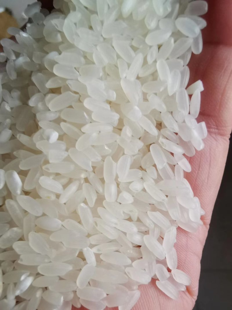 大米鸡林稻稻花香7号清香型，口感好，品质优