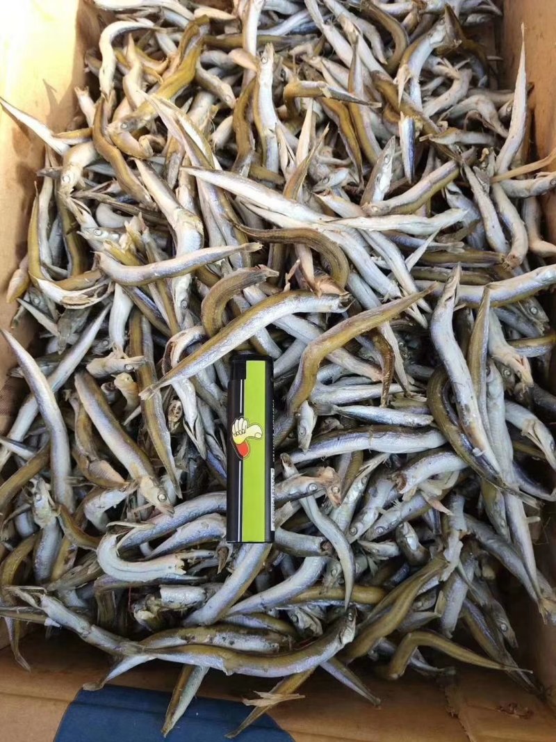 银针鱼，又名面条鱼，微微咸。一箱净重8.5斤左右