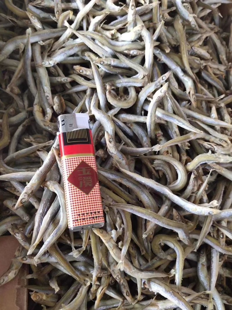 银针鱼，又名面条鱼，微微咸。一箱净重8.5斤左右