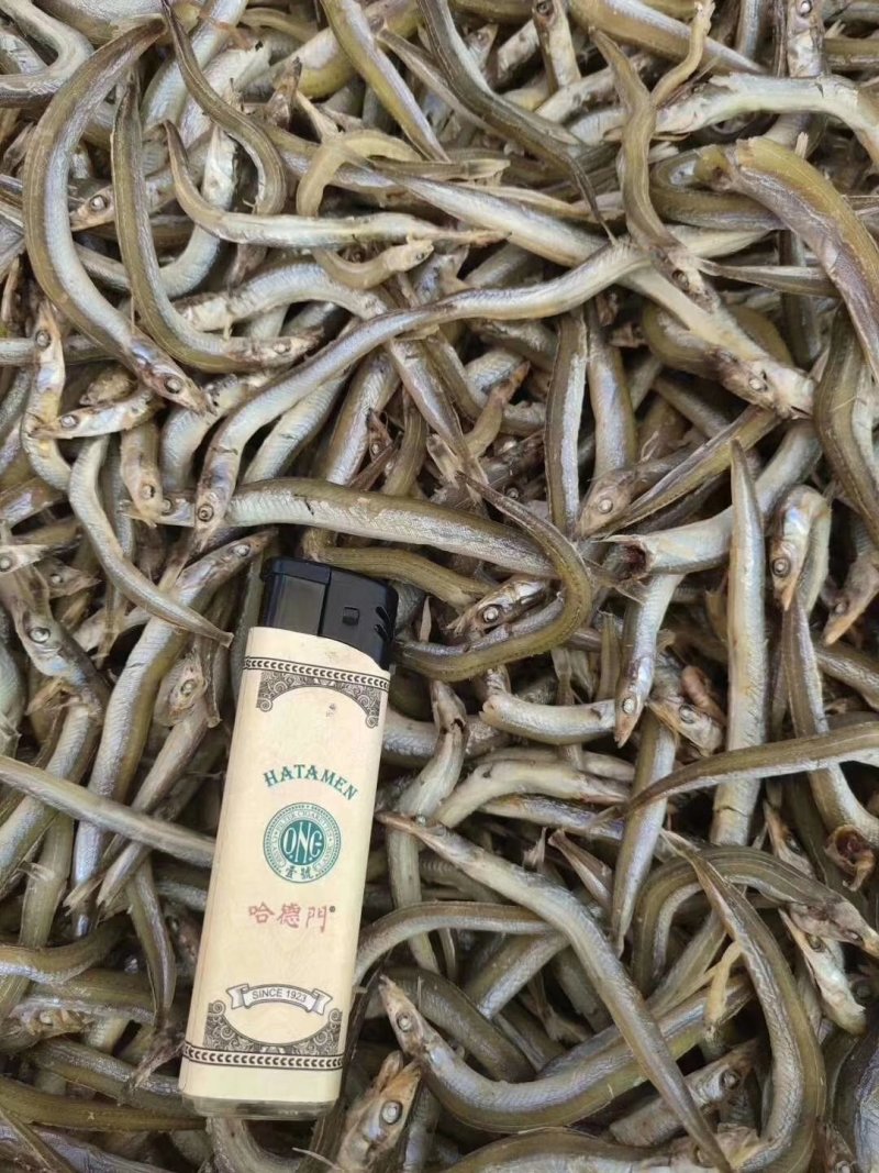 银针鱼，又名面条鱼，微微咸。一箱净重8.5斤左右