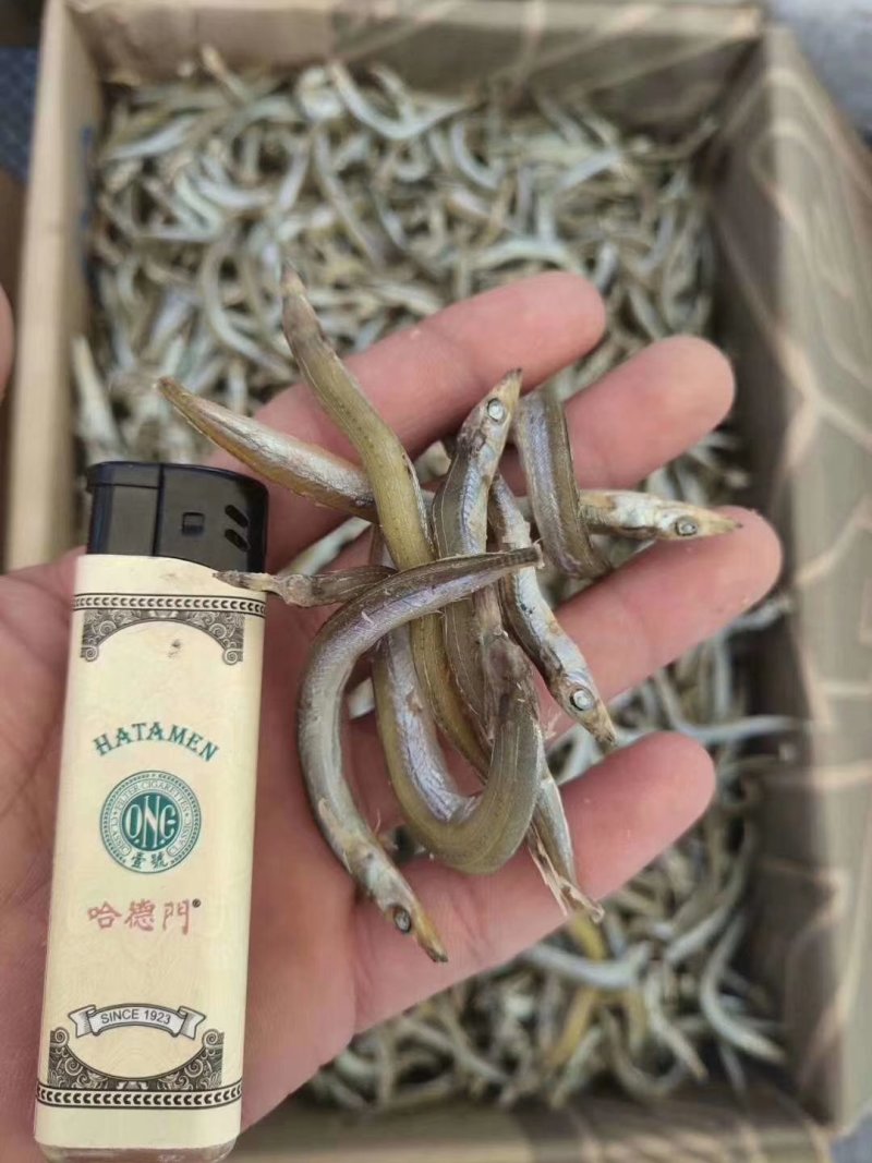 银针鱼，又名面条鱼，微微咸。一箱净重8.5斤左右