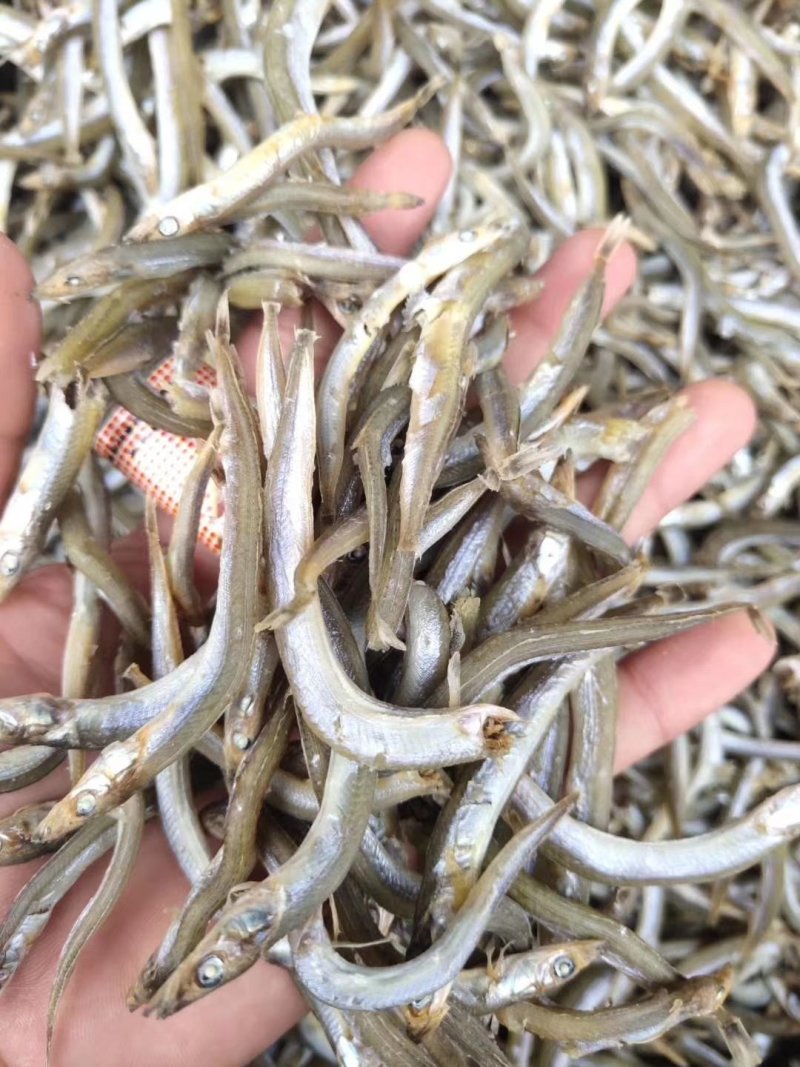 银针鱼，又名面条鱼，微微咸。一箱净重8.5斤左右