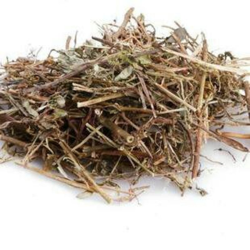 珍珠草，常年批发供应冷背中药材珍珠草
