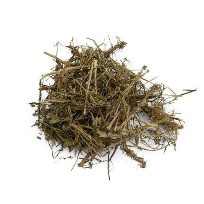 珍珠草，常年批发供应冷背中药材珍珠草
