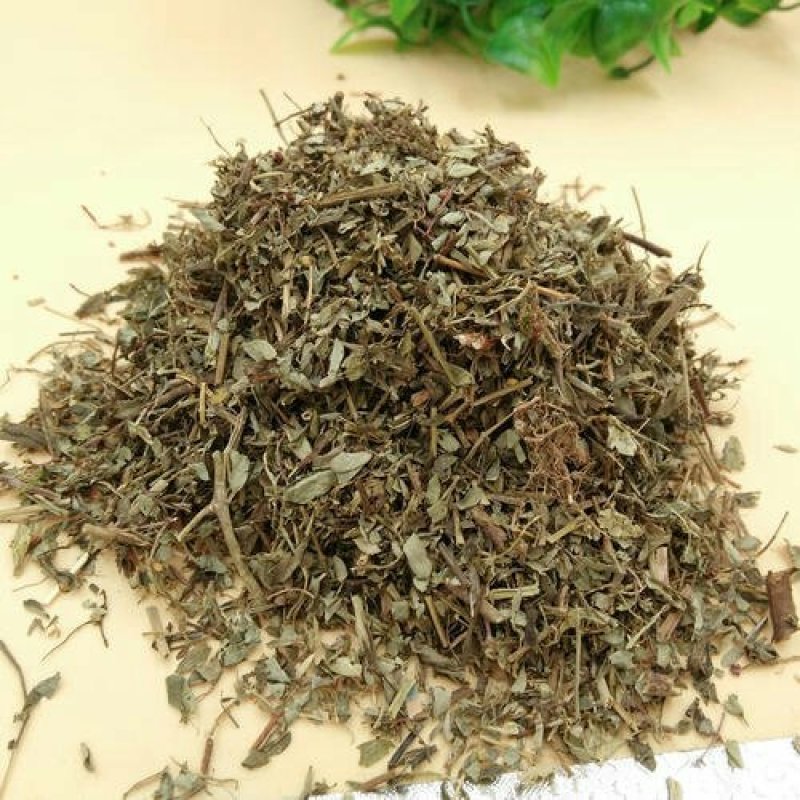 珍珠草，常年批发供应冷背中药材珍珠草
