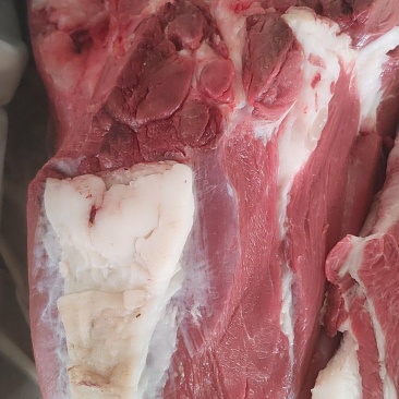 批零驴肉，欢迎大小采购商询价
