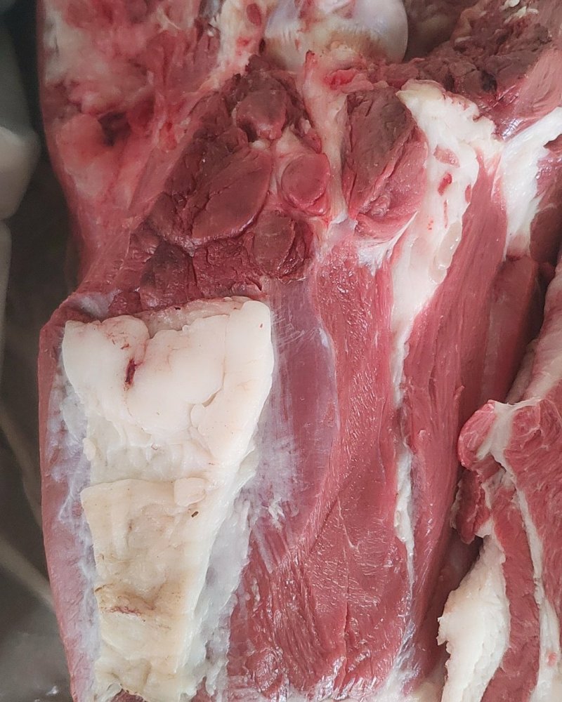 批零驴肉，欢迎大小采购商询价