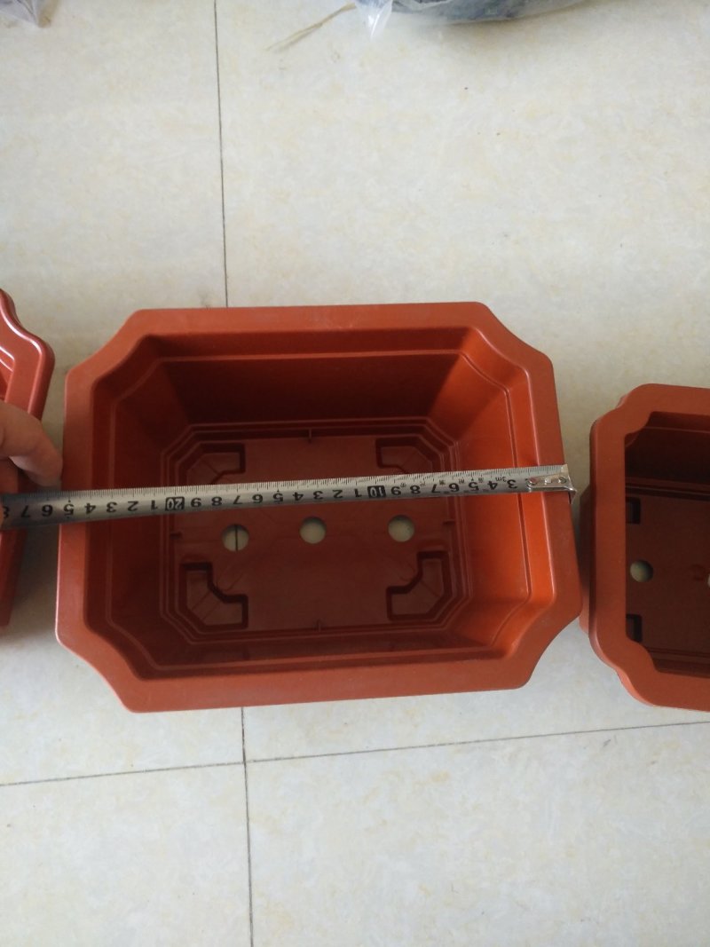 长方形盆红梅海棠等各种小盆栽