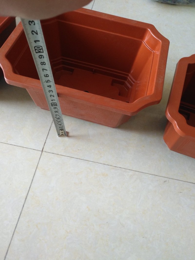 长方形盆红梅海棠等各种小盆栽