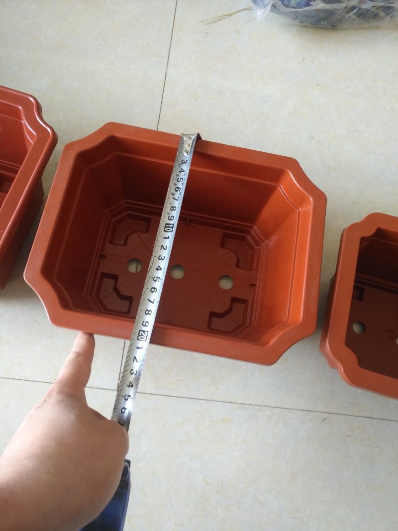 长方形盆红梅海棠等各种小盆栽