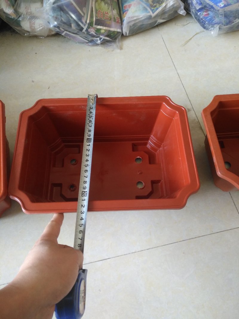 长方形盆红梅海棠等各种小盆栽