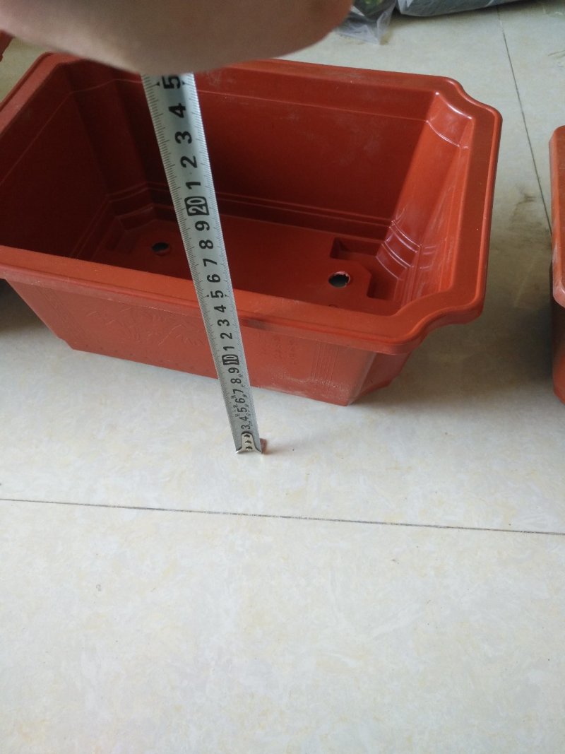 长方形盆红梅海棠等各种小盆栽