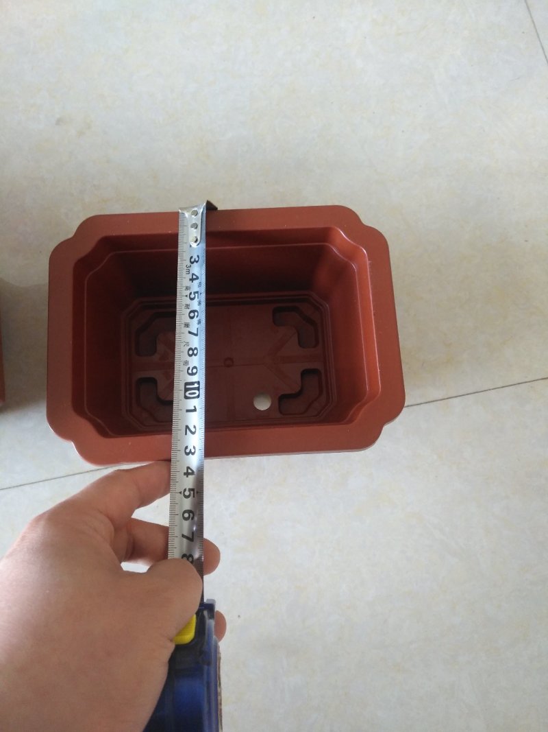 长方形盆红梅海棠等各种小盆栽