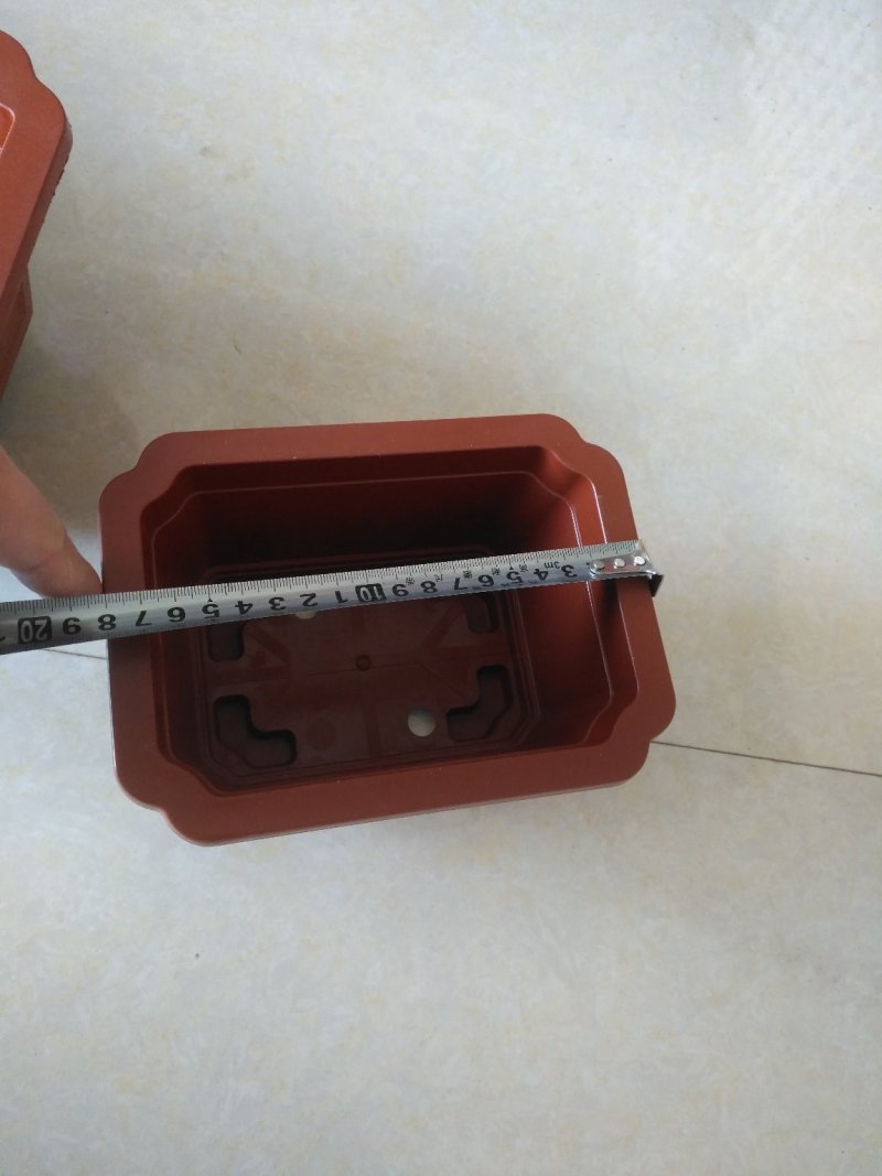 长方形盆红梅海棠等各种小盆栽