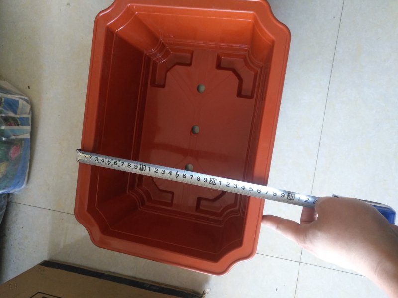 长方形盆红梅海棠等各种小盆栽
