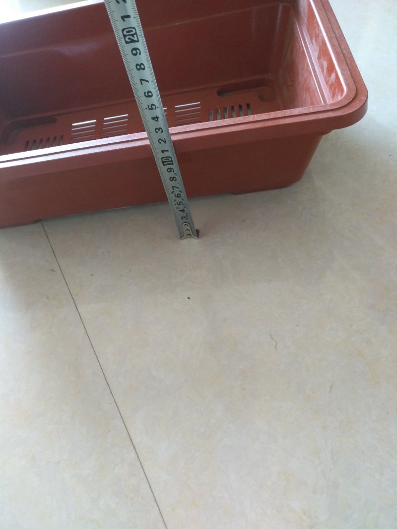 有机蔬菜盆，适合种植基地各种有机蔬菜