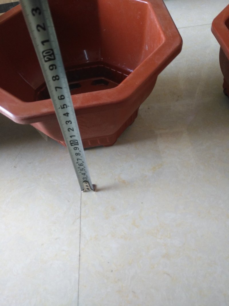 八角塑料盆适合搭配各种花卉