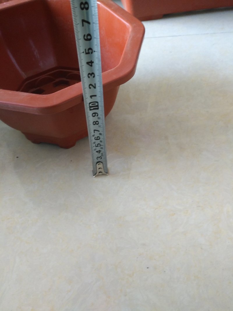 八角塑料盆适合搭配各种花卉