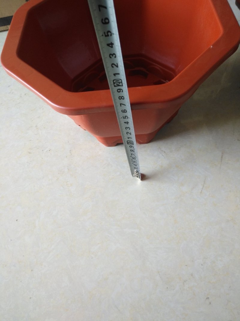 八角塑料盆适合搭配各种花卉