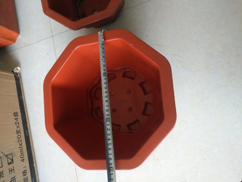 八角塑料盆适合搭配各种花卉