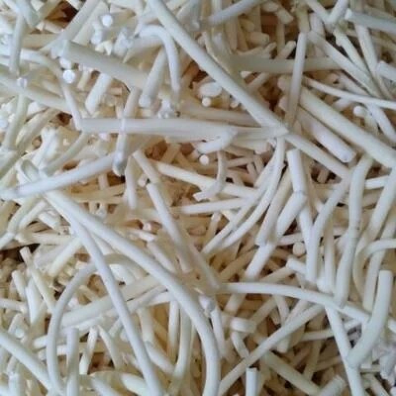 凉山野生小通草！！！