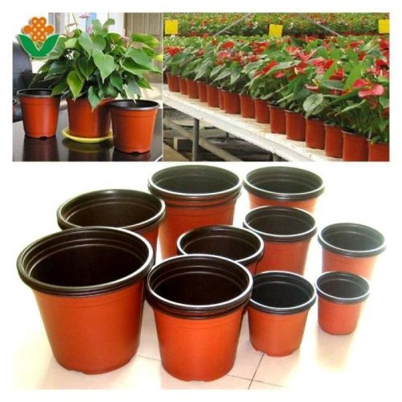 优质双色盆，塑料花盆，质优价廉，各大种植园都在用