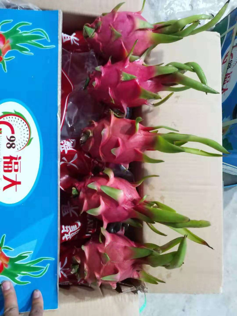 云南世汇果缘进出口有限公司