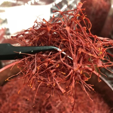 伊朗进口藏红花长丝精品藏红花各种包装