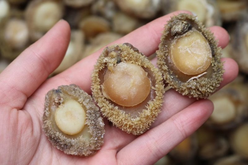 精选70头南非鲍足干香味浓特级品质肉质弹牙最高性价比