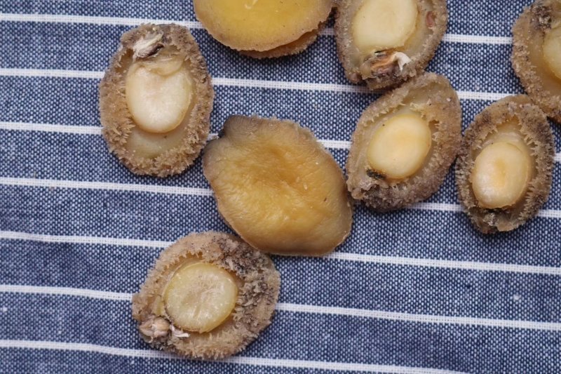精选70头南非鲍足干香味浓特级品质肉质弹牙最高性价比