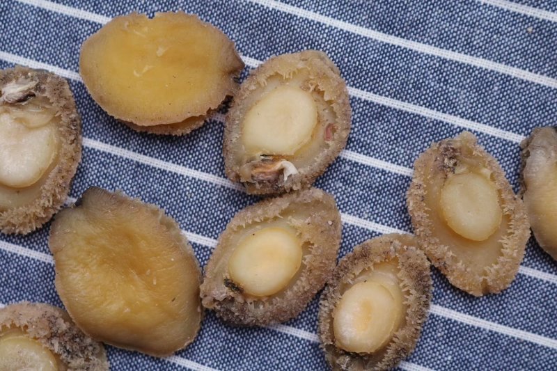 精选70头南非鲍足干香味浓特级品质肉质弹牙最高性价比