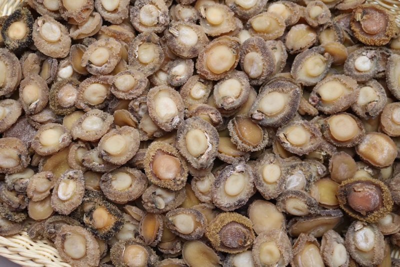 精选70头南非鲍足干香味浓特级品质肉质弹牙最高性价比