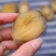 精选70头南非鲍足干香味浓特级品质肉质弹牙最高性价比