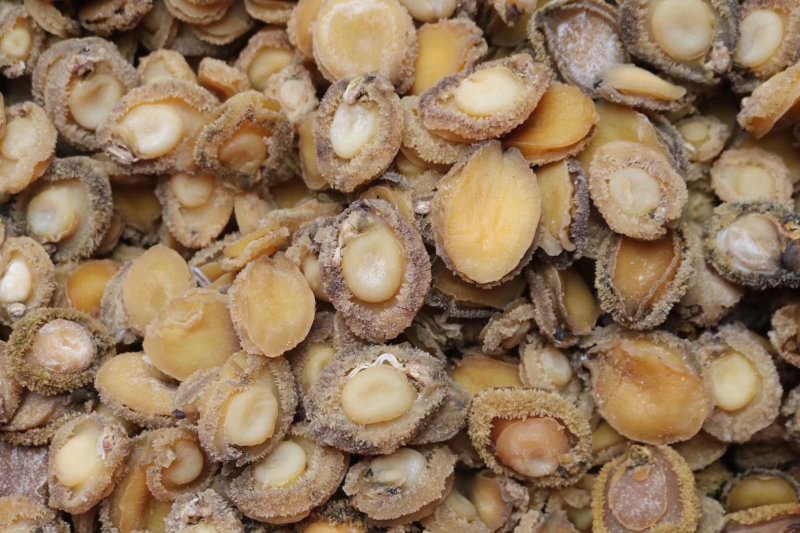 精选70头南非鲍足干香味浓特级品质肉质弹牙最高性价比