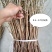 1年生杜梨苗，现起苗现整理现发货，分拣精细，规格齐全。