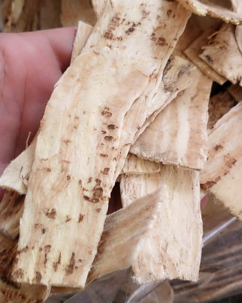 黄芪片，正宗甘肃无硫黄芪压片干度好，诚信经营！