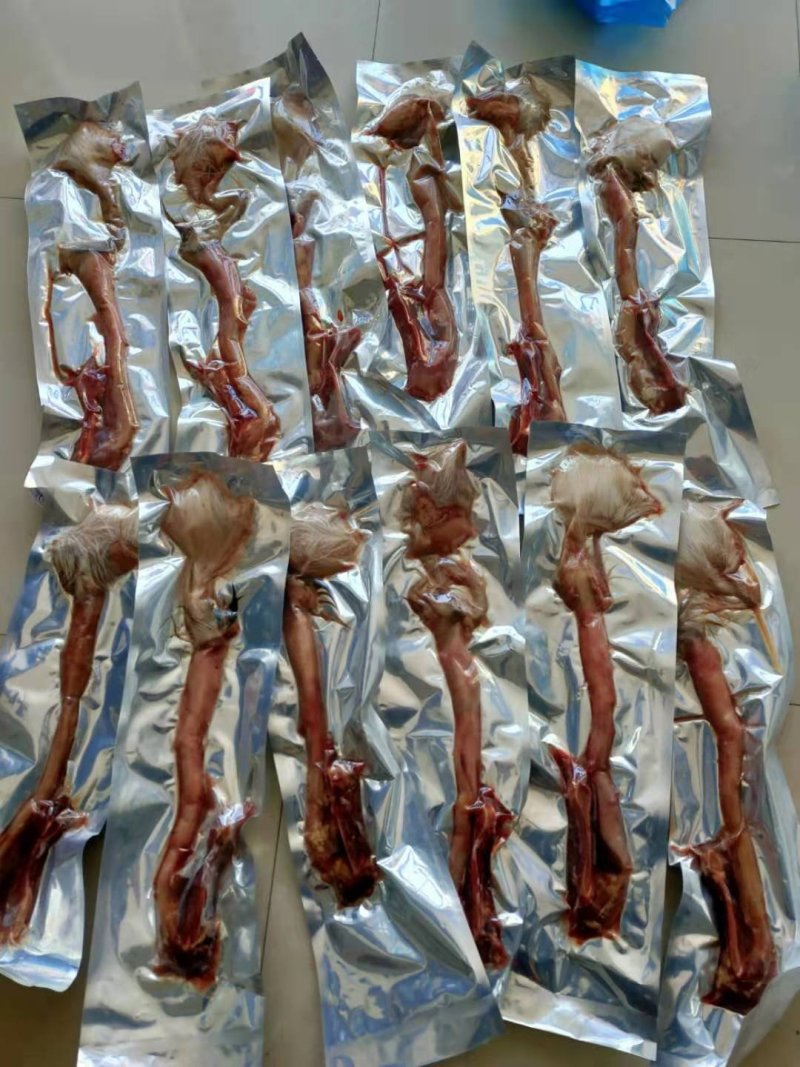【有好货】东北三宝猛鞭高端版整只壮年鹿鞭十全更补泡酒药料