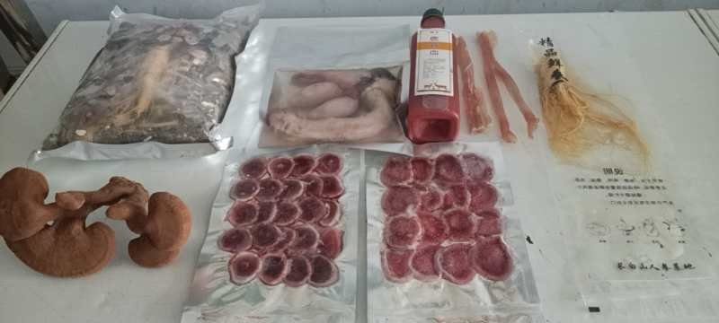 【有好货】东北三宝猛鞭高端版整只壮年鹿鞭十全更补泡酒药料