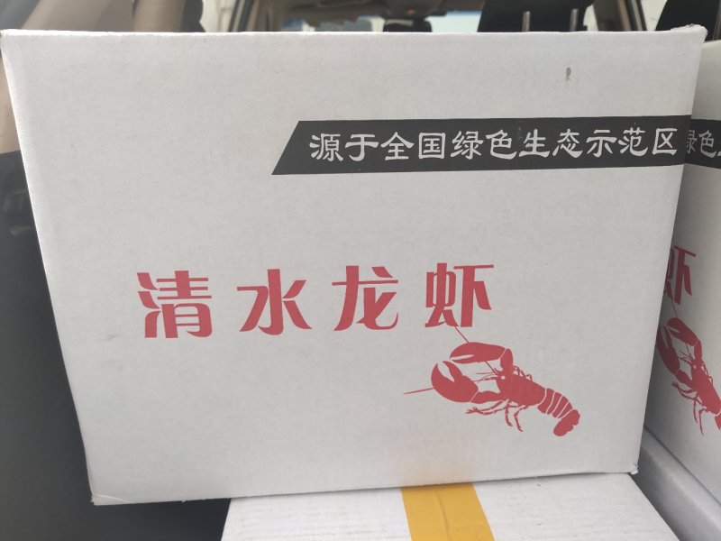 清水龙虾冻虾冻虾尾