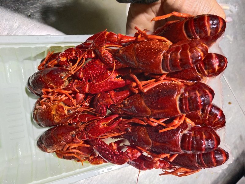 清水龙虾冻虾冻虾尾