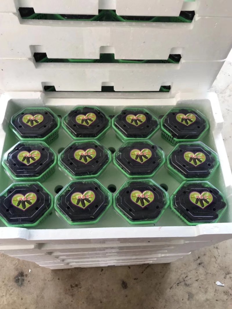 精品桑葚上市各种包装各规格都有品质保证代发全国